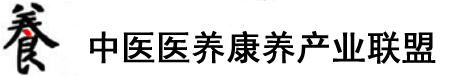 骚b被插在线观看